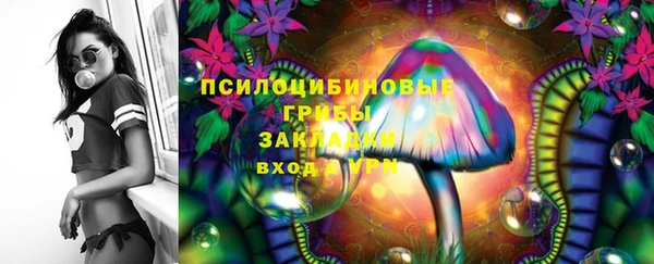 ешки Гусиноозёрск