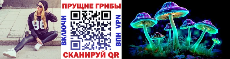 Купить  Сольвычегодск  Псилоцибиновые грибы Psilocybine cubensis 